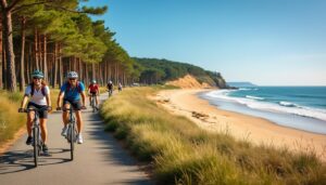 découvrez nos conseils pour réussir votre location de vélos en groupe dans les landes et profiter pleinement de votre sortie entre amis ou en famille.